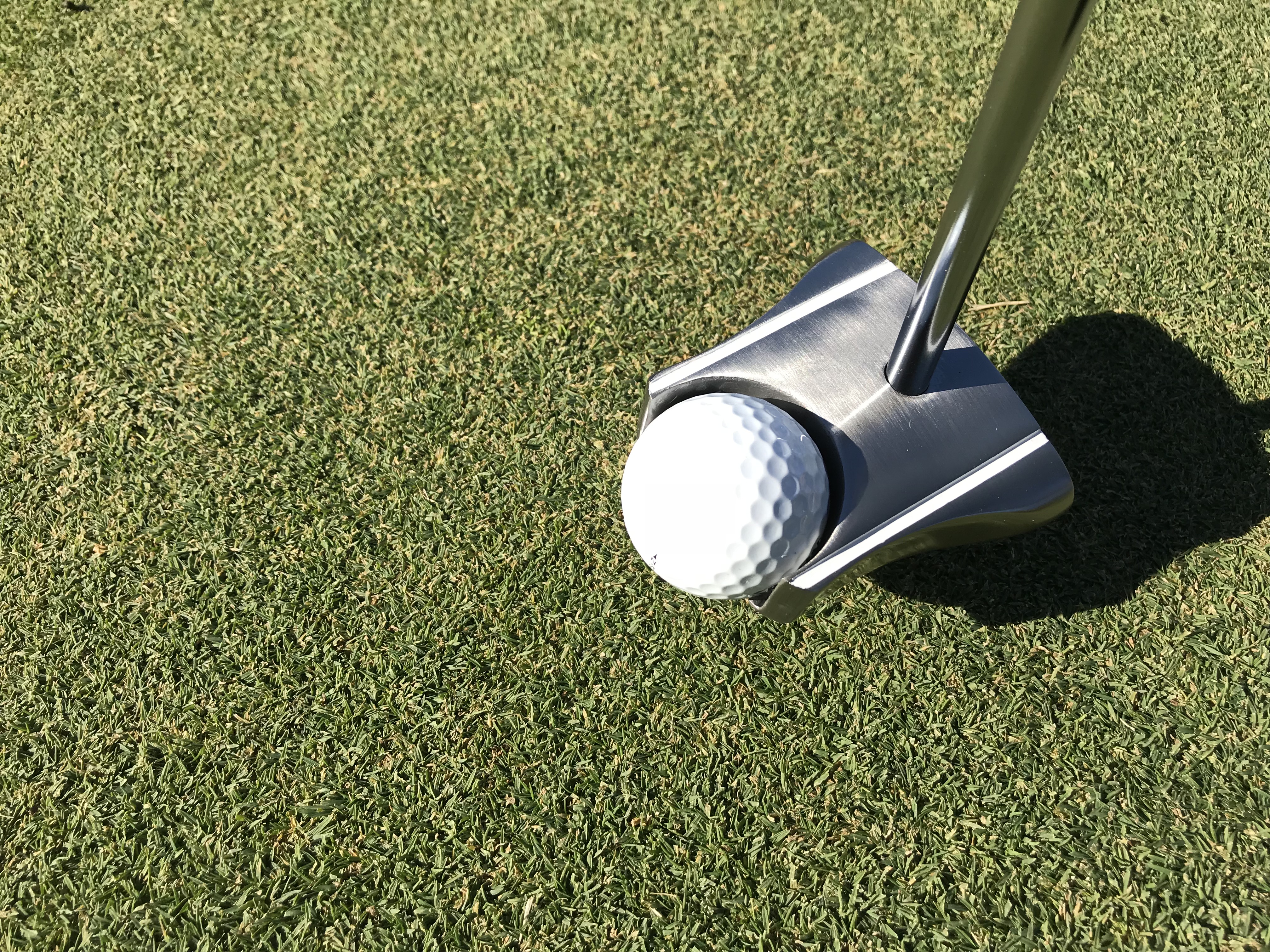 Face on GP Putter - Face On Putting