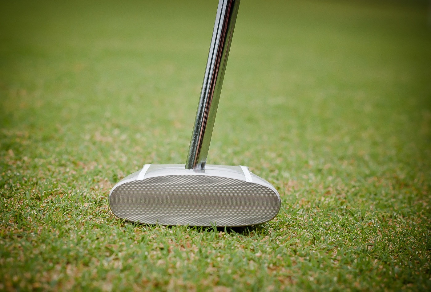 Face-on GP putter view